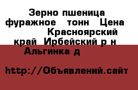 Зерно пшеница фуражное 25тонн › Цена ­ 4 000 - Красноярский край, Ирбейский р-н, Альгинка д.  »    